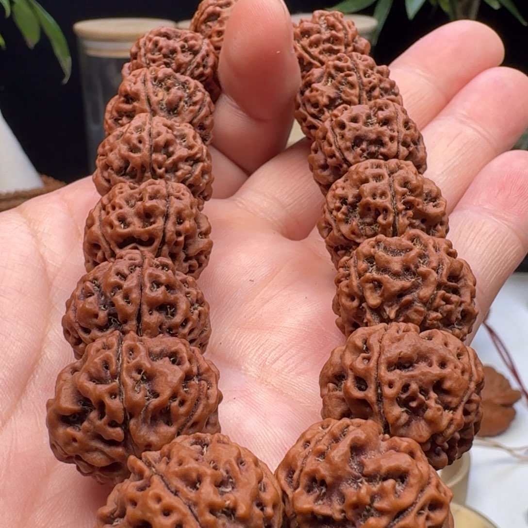 金刚菩提手串蜂窝双龙