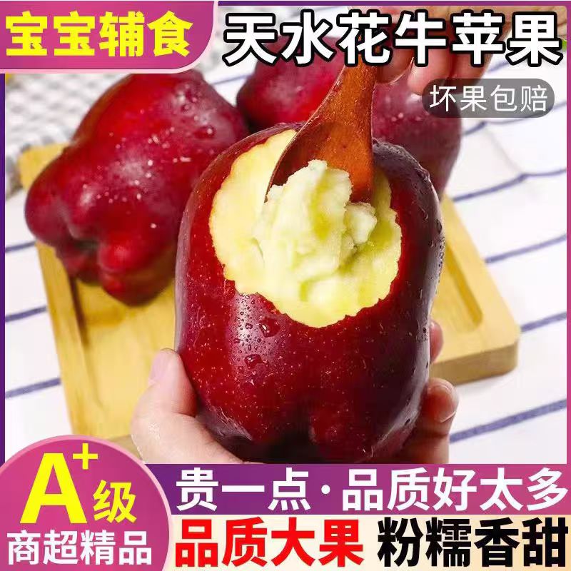甘肃天水花牛苹果新鲜脆甜粉面可做宝宝辅食水果