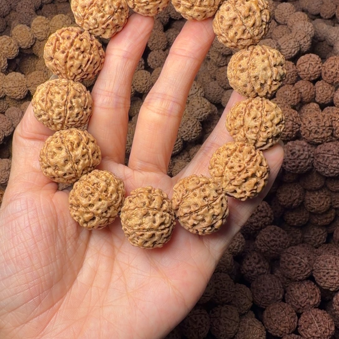 金刚菩提手串9瓣卡23尺，22