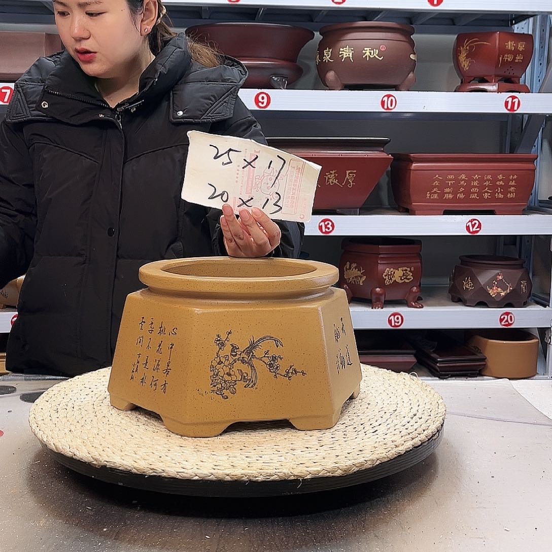 紫砂花盆紫砂花盆中