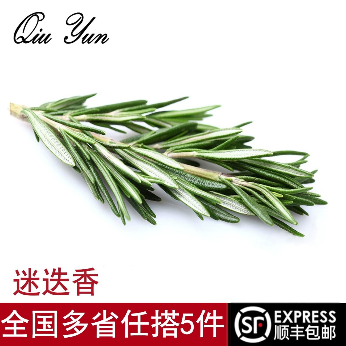 新鲜迷迭香用于牛排食用香料西餐酒店日料烘焙摆盘装饰点缀花草