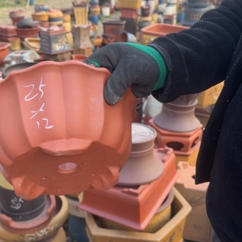 红陶紫砂花盆盆景盆栽