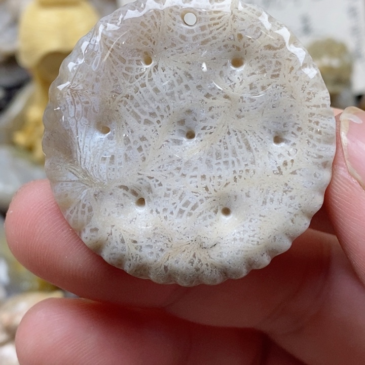 颈饰未镶嵌硅化珊瑚（珊瑚玉）