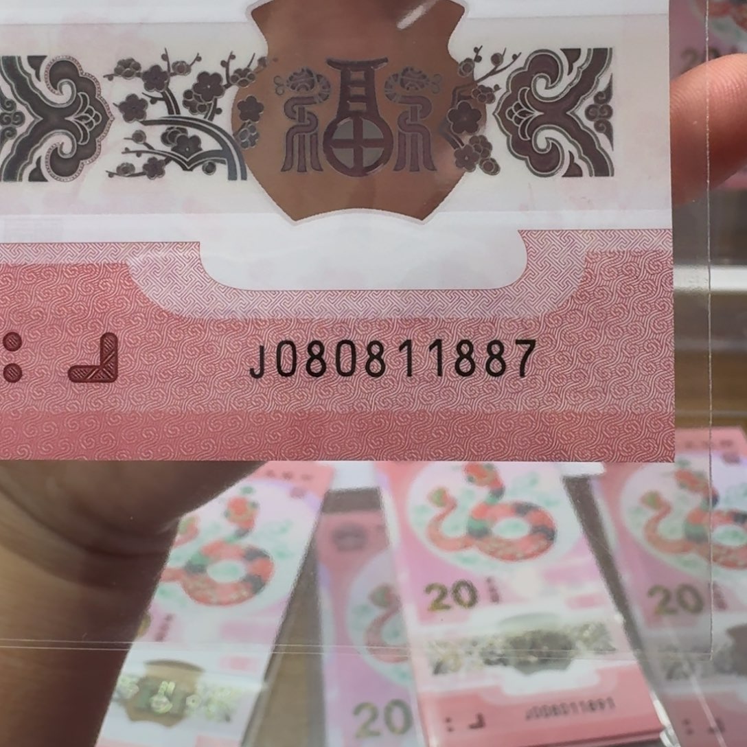 塑料蛇年纪念钞J080811887