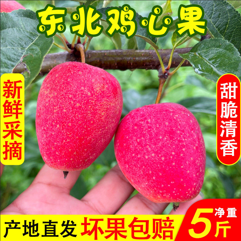 正宗东北鸡心果净重5斤半斤新鲜应季现摘锦绣海棠果小苹果孕妇吃