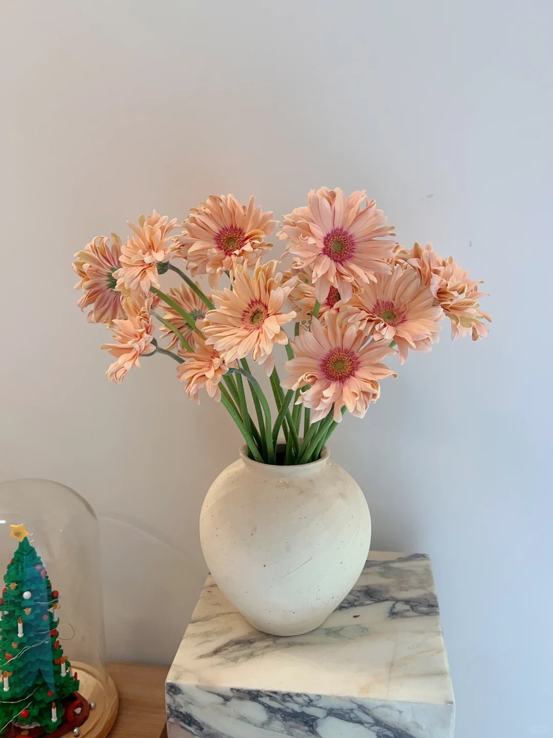 【花满堂】鲜花 亚丁太阳花 任意两单包邮 发货后不支持退款