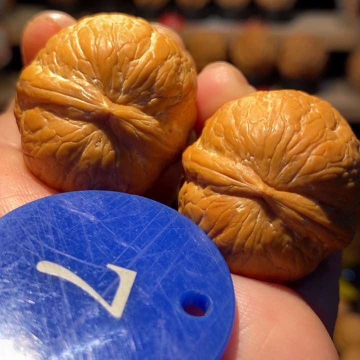 木质类帝王蛇皮球33尺寸