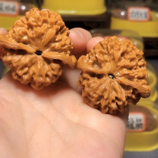 精品野生小众玄月