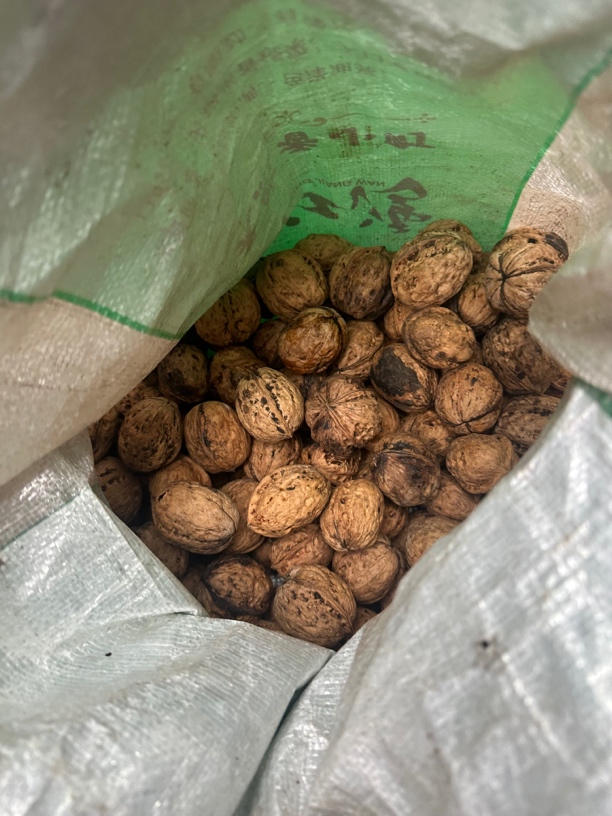 贵州大学生助农*核头