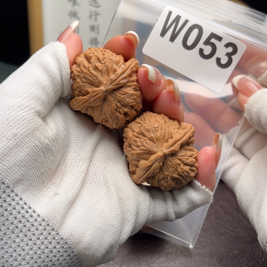 文玩核桃把件39白狮子w 053