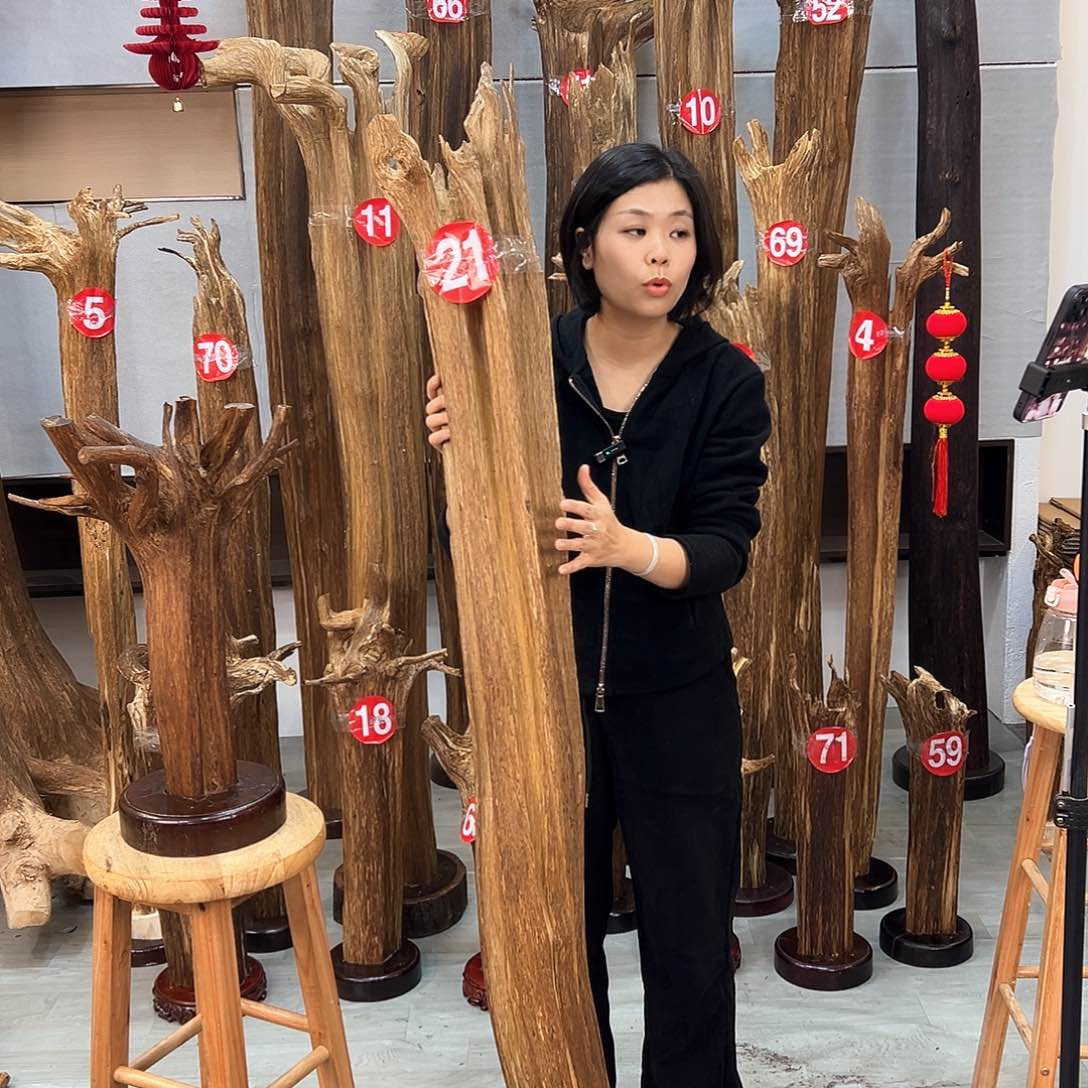 沉香摆件用****7海南沉香摆件