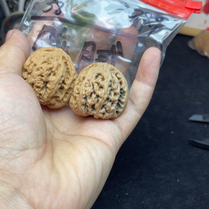 文玩核桃把件陈**?大粗筋