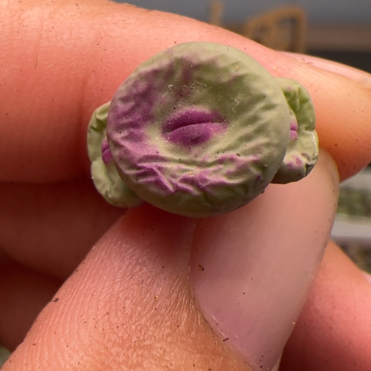 【闪购商品】00000007