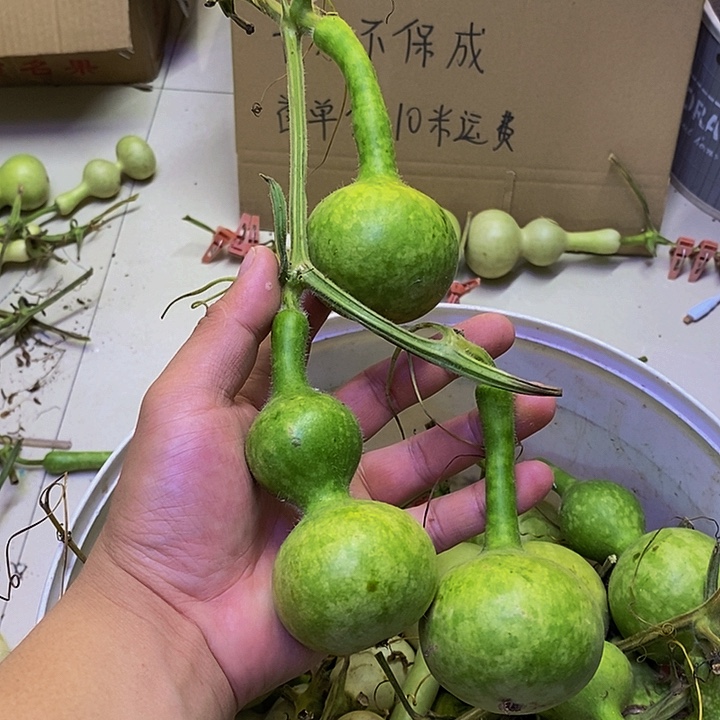 李*逸长嘴哈哈哈哈哈哈哈哈哈哈我