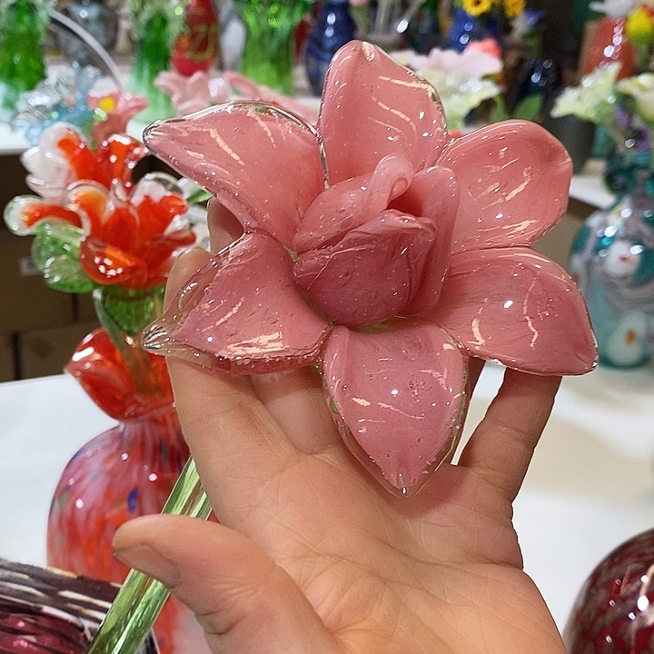 夜光花高45厘米宽12厘米