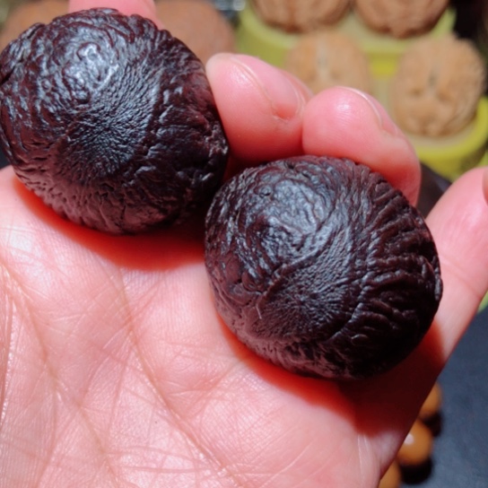 文玩核桃把件黑龙菩提