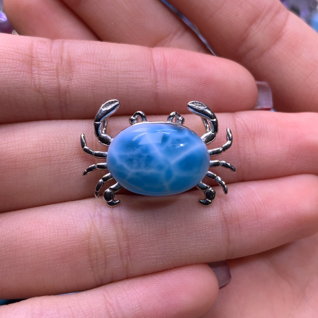 针钠钙石（海纹石）颈饰银S925镶嵌✨**✨