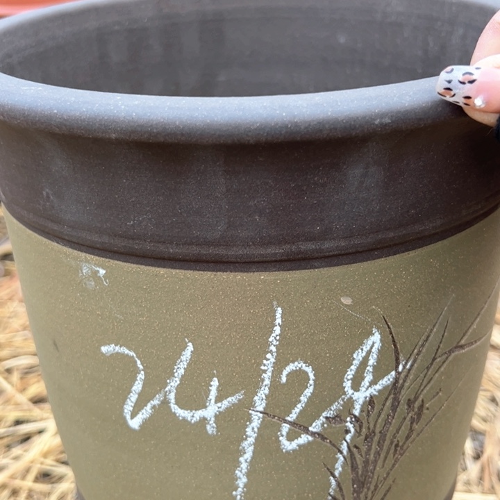 红陶紫砂兰花盆微瑕