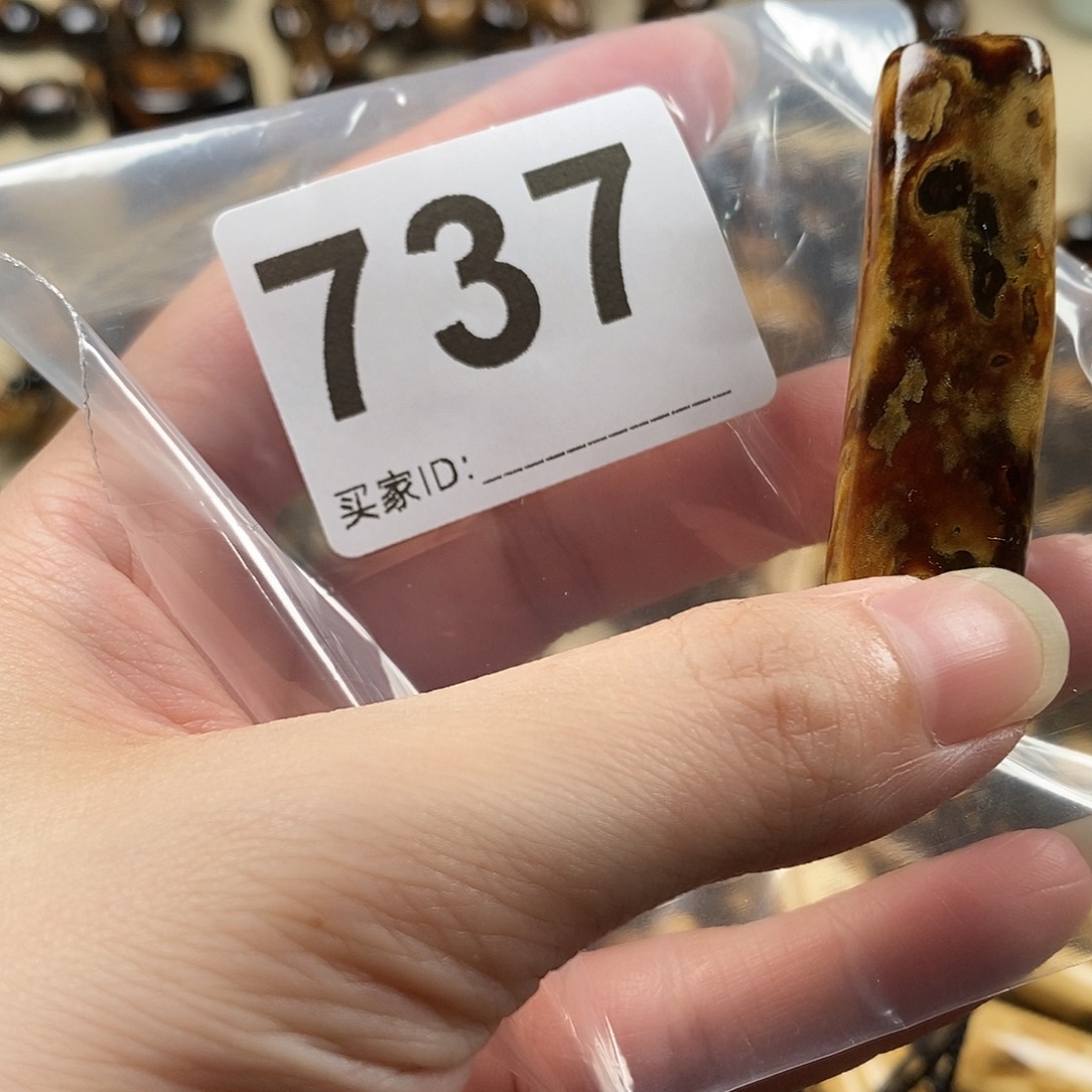 香榧木海小柳，血柳，有机宝石，