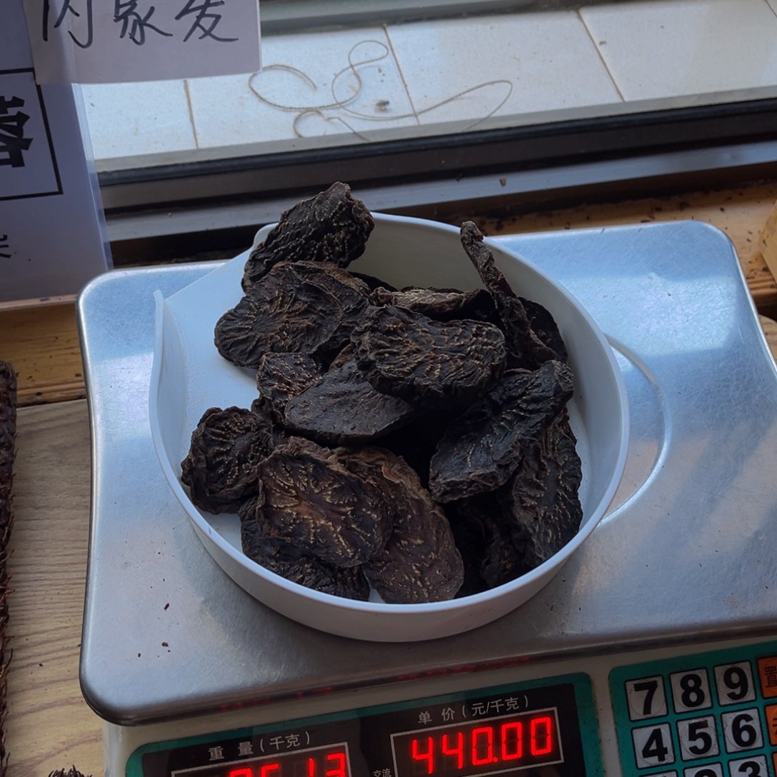 永**我阿拉善沙漠肉苁蓉