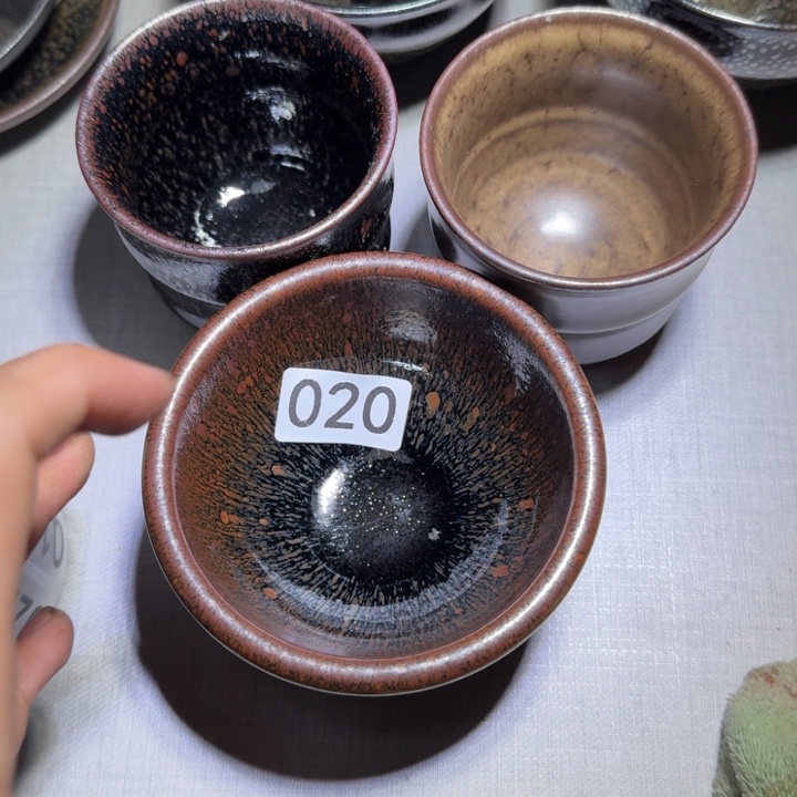 茶盏提出解决农村留守学生入学面临