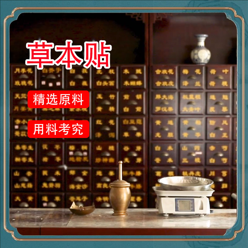 【官方正品】正品保障 温和舒适贴 一盒10贴