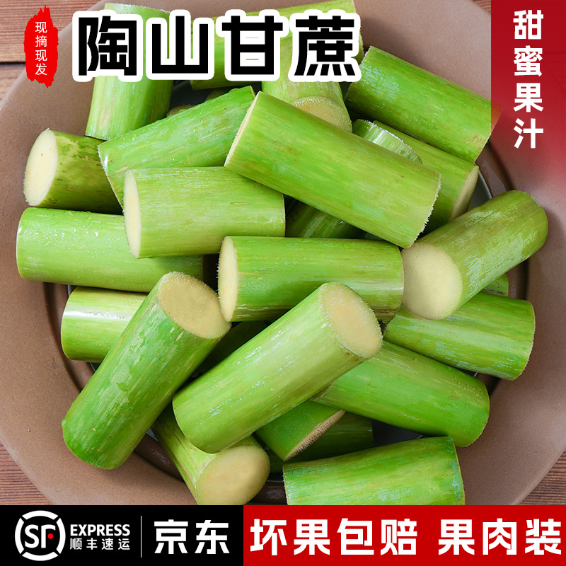 陶山甘蔗青皮当季新鲜水果手撕果蔗绿皮3-5斤果肉装 吃着真方便