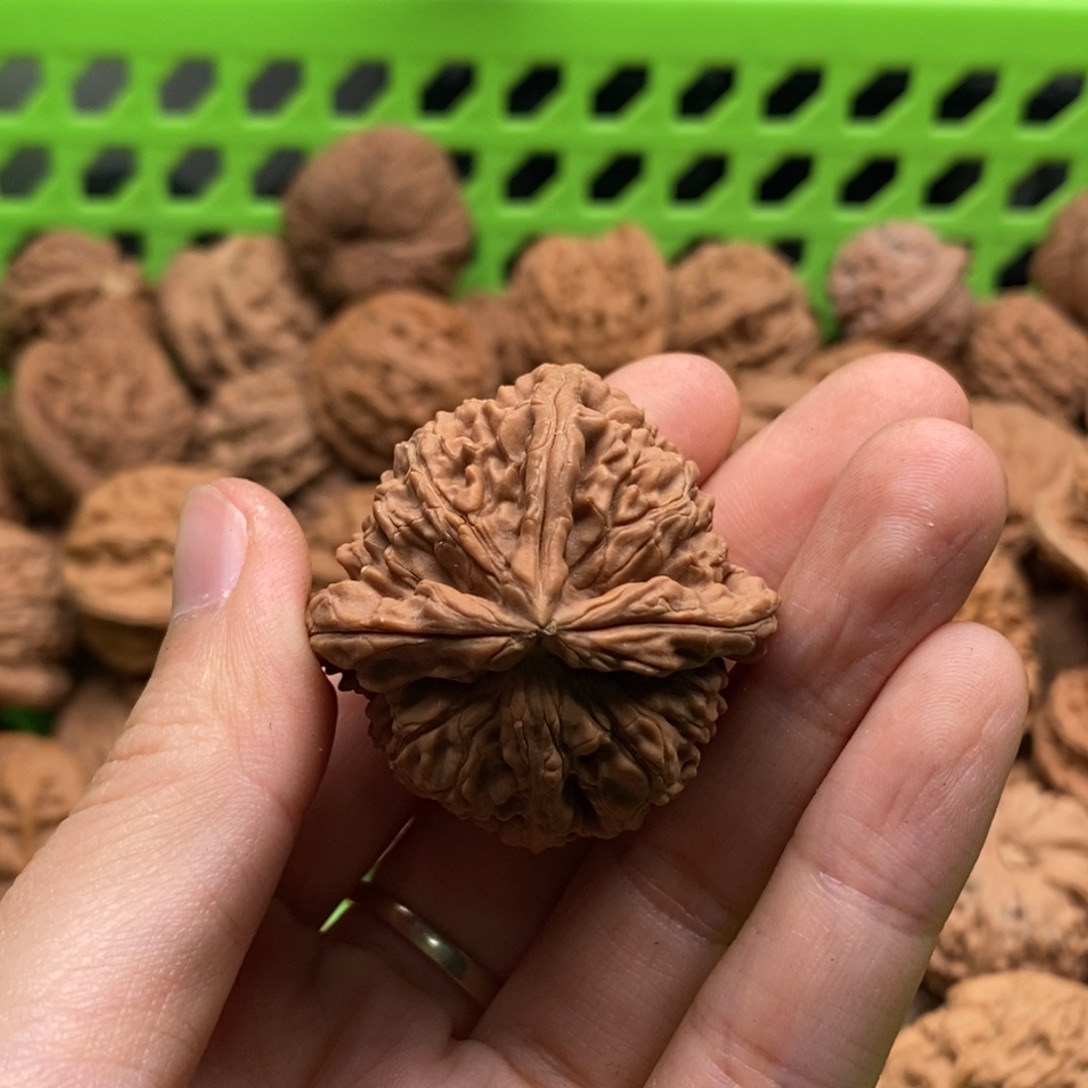 清***人文玩核桃把件定制商品不退不换