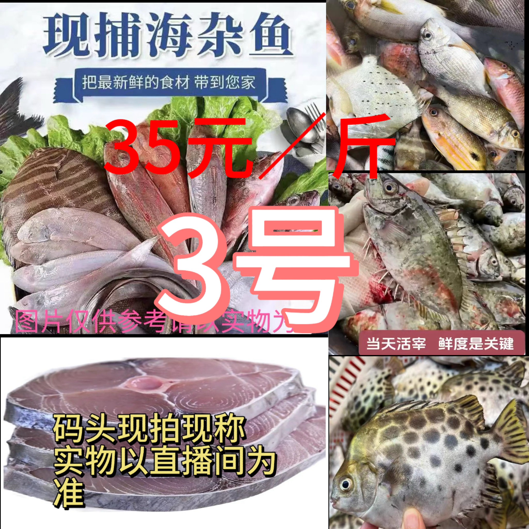 【斌哥】35北海本港新鲜急冻海杂鱼直播现拍现称（速冻锁先发货）