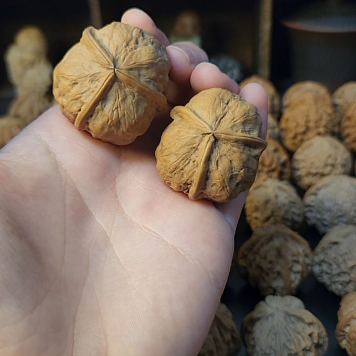 文玩核桃吊坠34铁丁