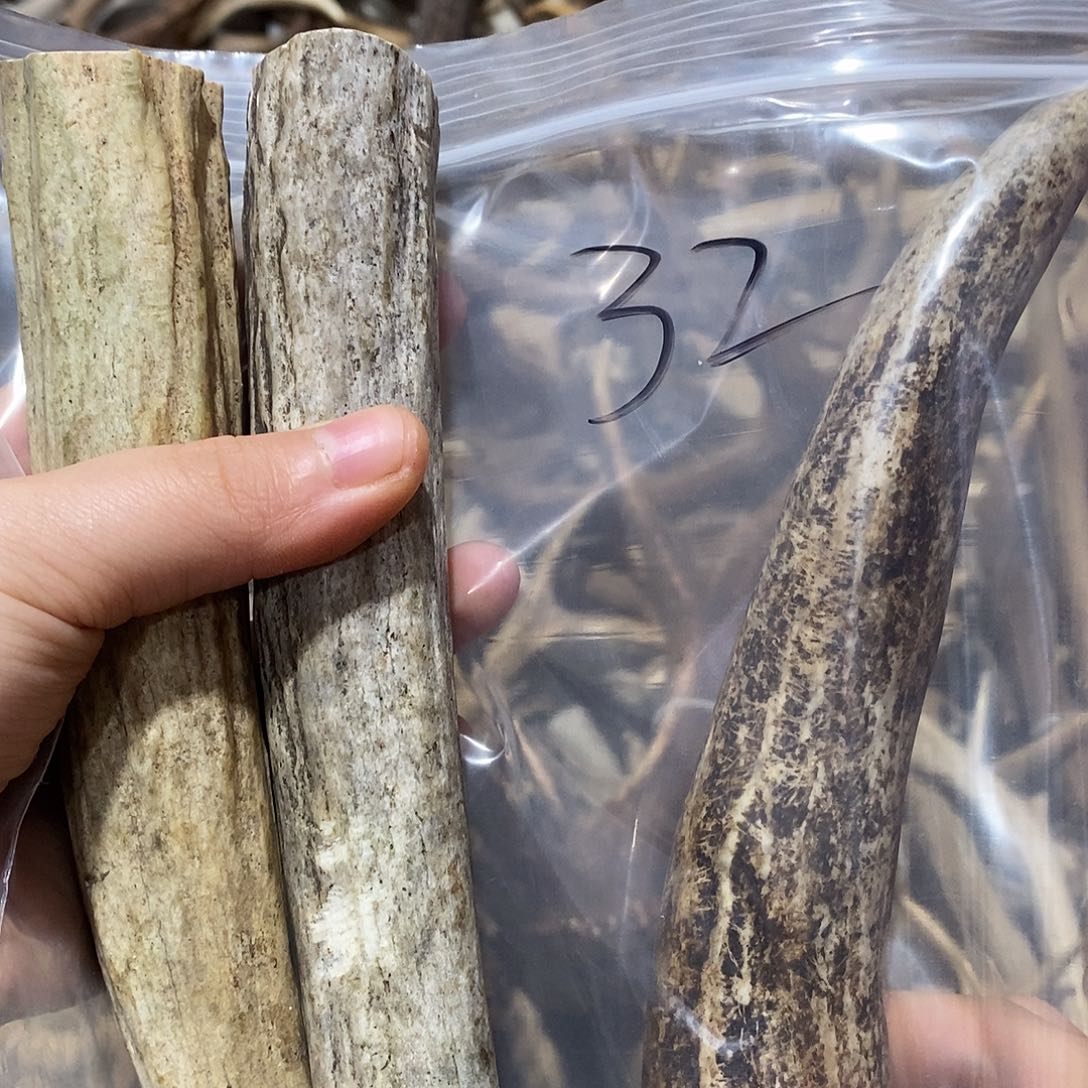 进***庄非金属鹿角鹿角鹿角