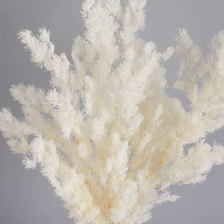 【经典花艺手作坊专属】永生蓬莱松家庭插花保鲜观赏艺术花材