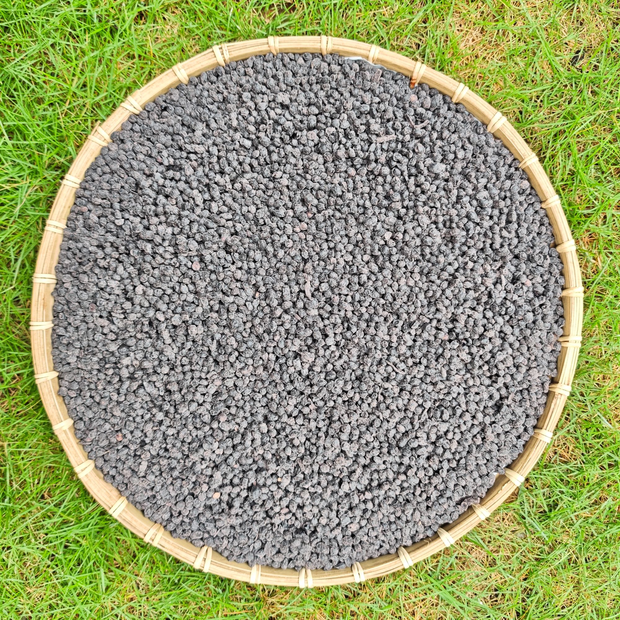 【阿丹臻品】当归黑豆 农家土特产 可搭配枸杞1