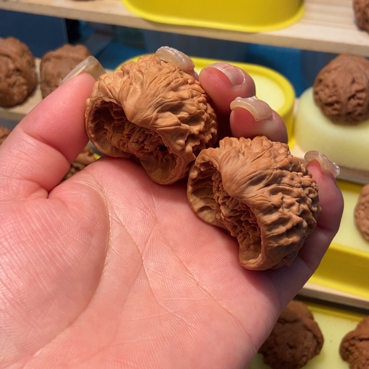 官方网站发布消息