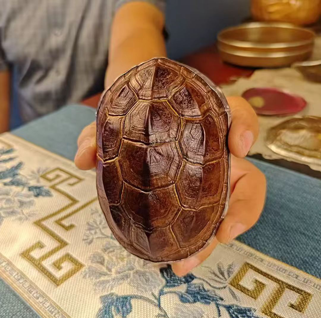 天然车载龟壳手把件