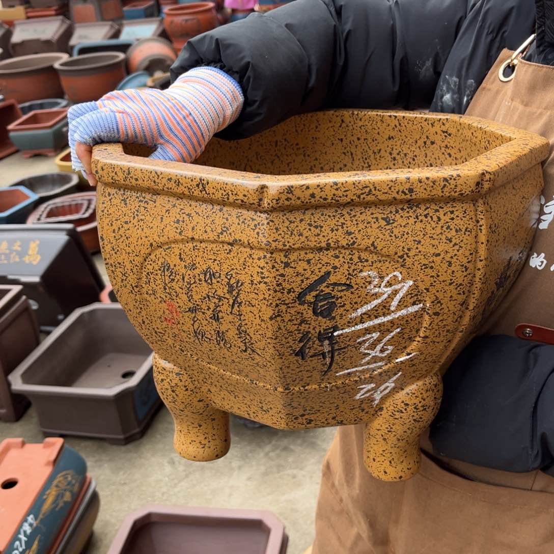 紫砂花盆盆景艺术