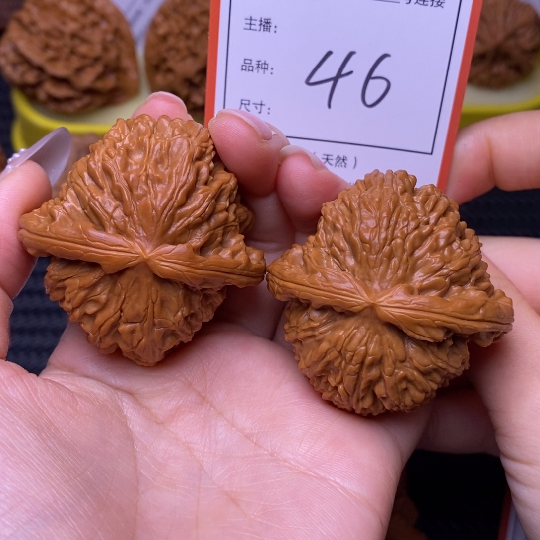 把件文玩核桃4.6白狮子46号