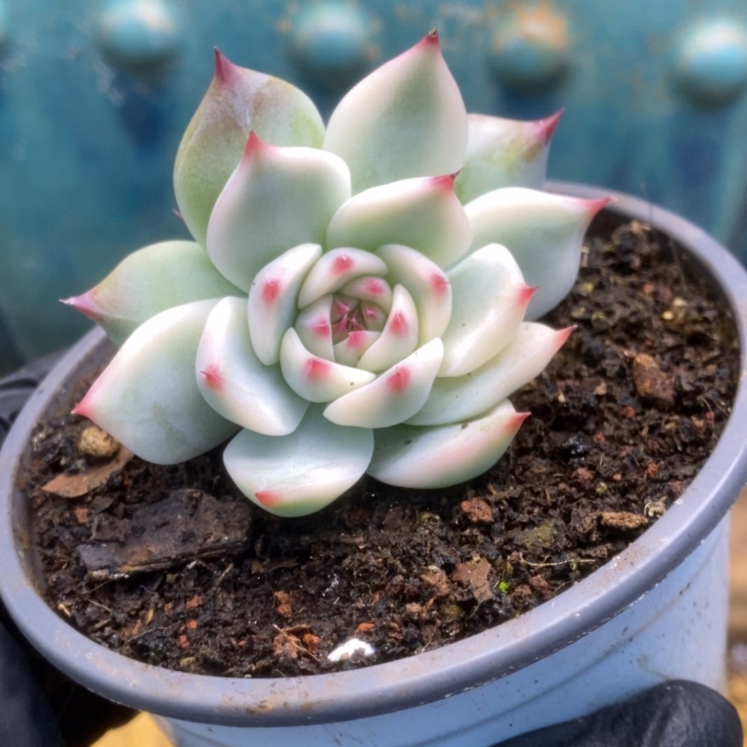 345锦锦锦锦锦锦锦