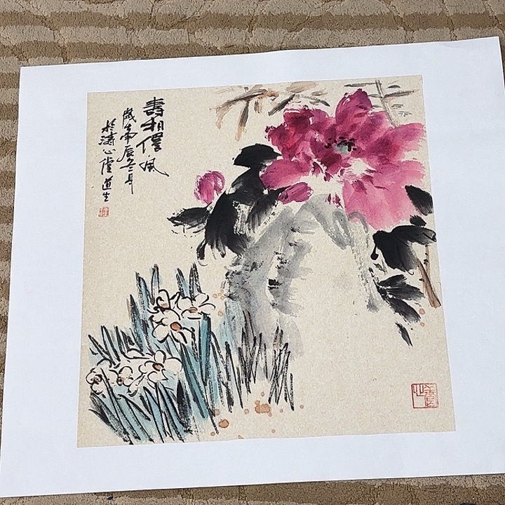 国画花鸟等多种鸟类和