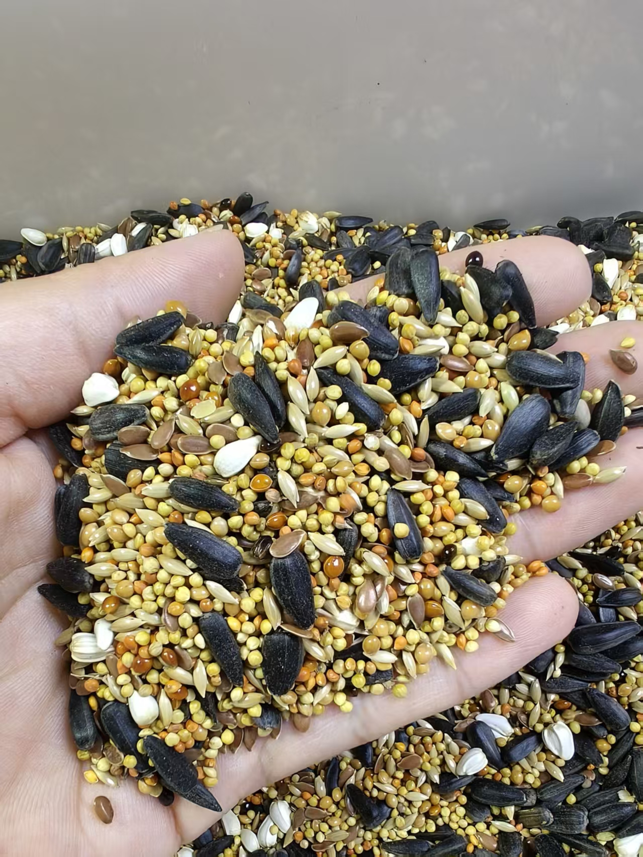 鹦鹉自配粮牡丹玄凤小太阳和尚鹦鹉混合粮常规粮不添加麻子