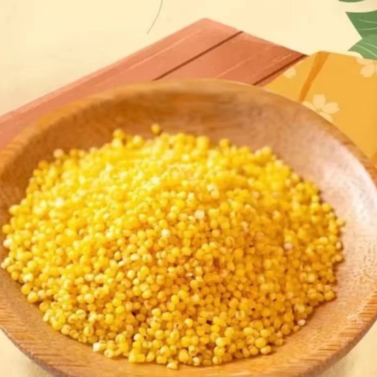 沙土岗新小米五斤装