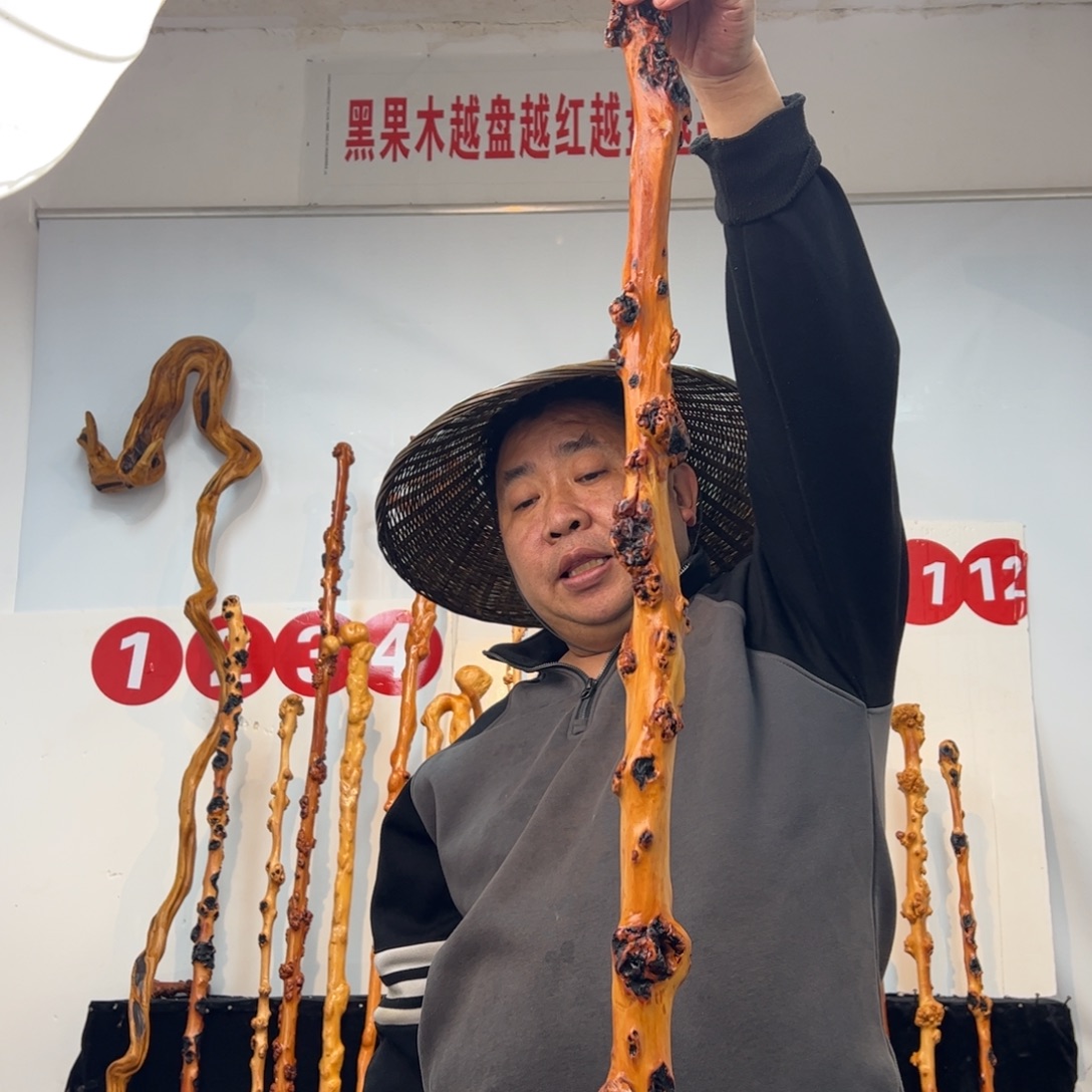 三***飘其他黑果木黑果木654