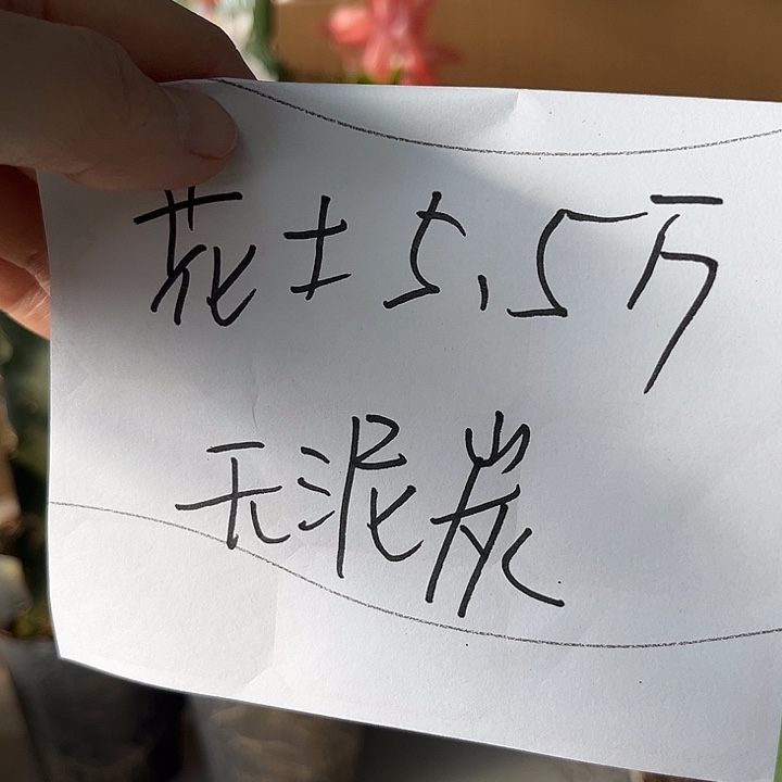 当前无花朵，栽培后可花朵花土5.5斤无泥炭土