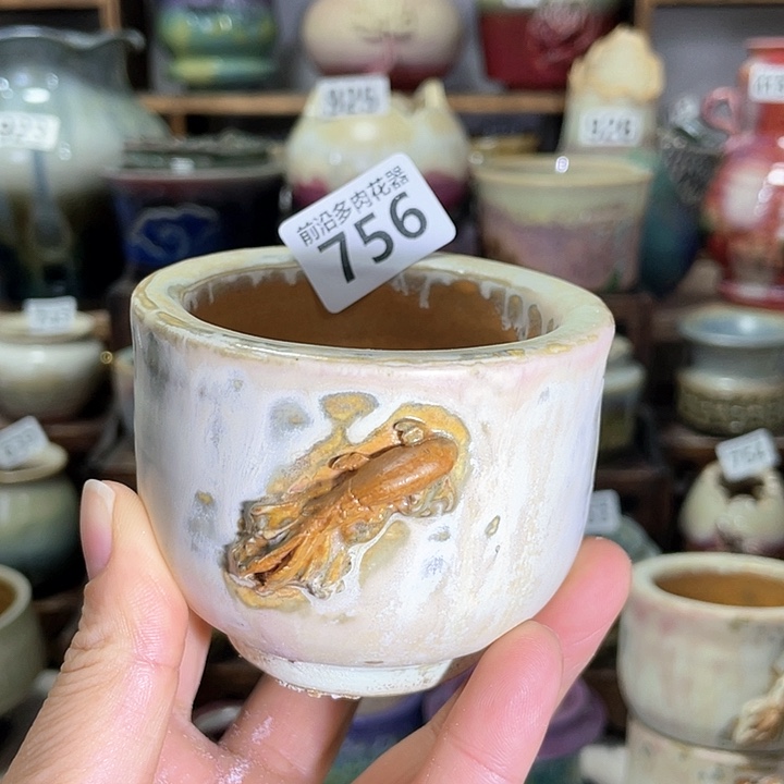 红陶内口径6.5高度6