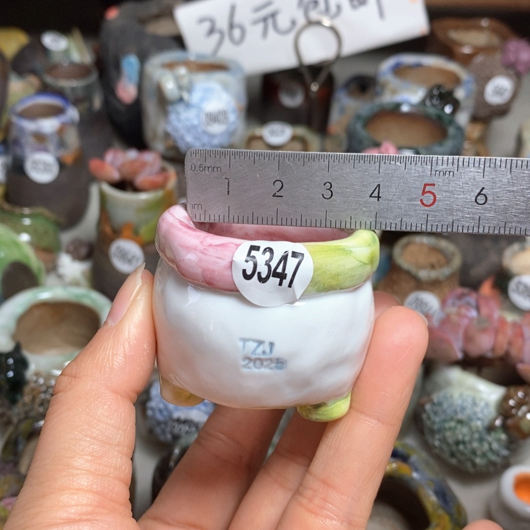 拍3送一个小礼物