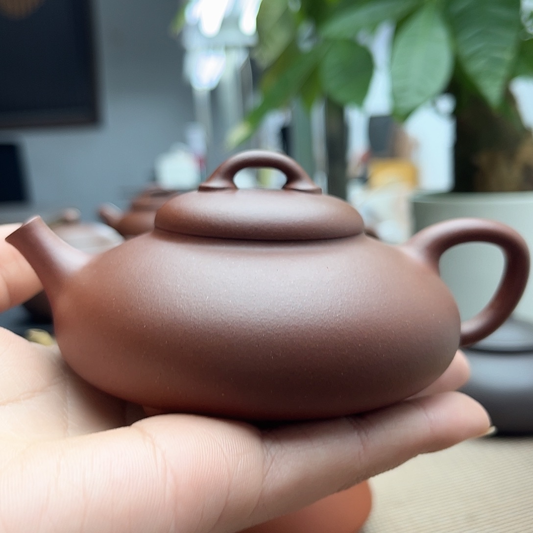 王***力紫砂茶壶紫砂壶作品
