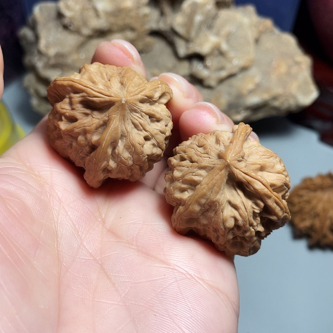 核桃手串/手链精品小众三楞