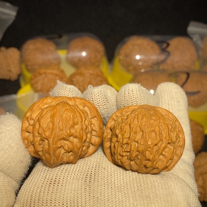 磨盘狮子头38尺新春福利