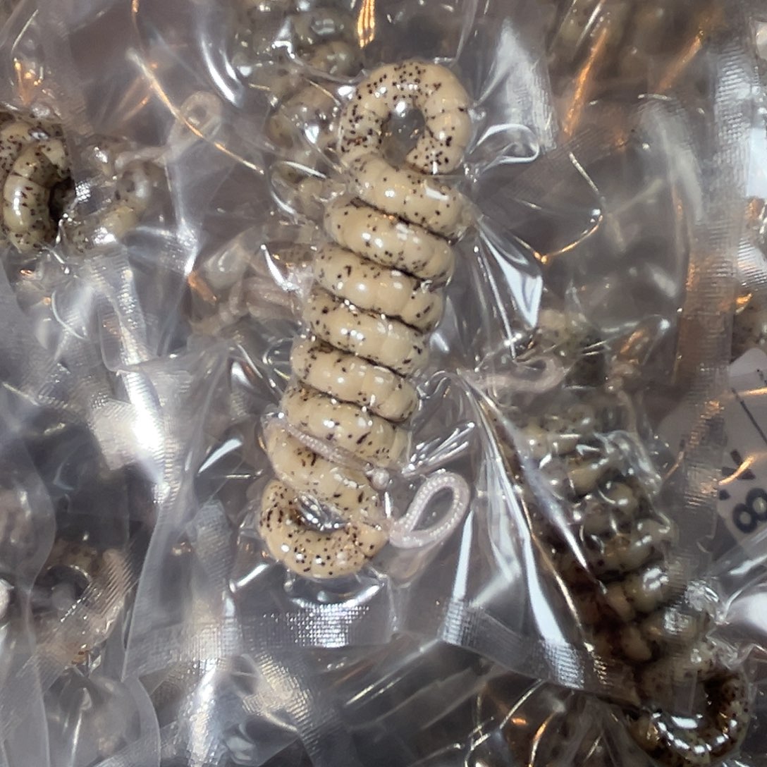 星月菩提吊坠6原白小肠微氧化，232