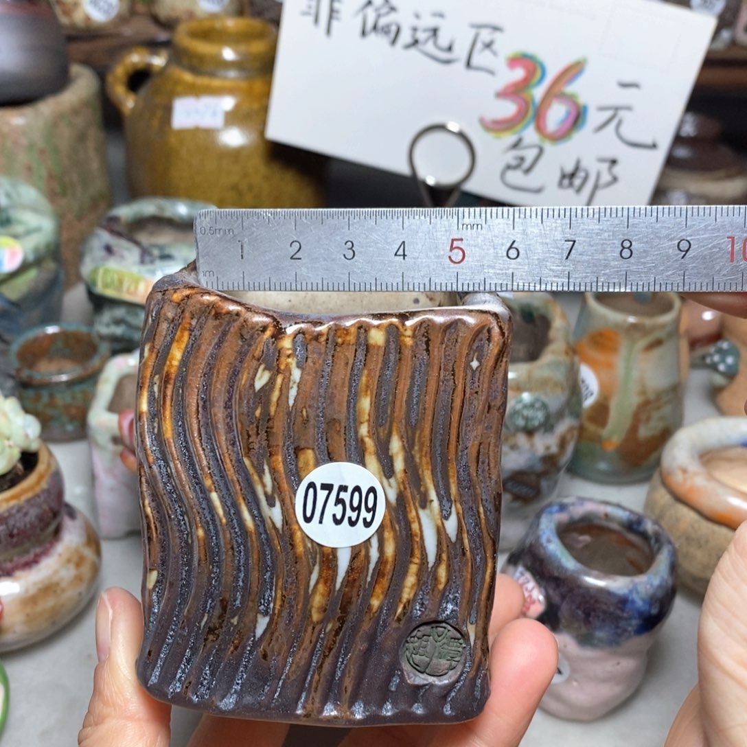 花盆拍3送一个小礼物